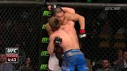 2015UFC轻量级张立鹏合集
