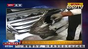老鹰撞上飞奔汽车被卡毫发无损
