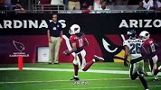 NFL-1516赛季-常规赛-第9周-亚利桑那红雀的通向第50届超级碗之路-专题