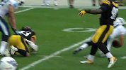NFL-1415赛季-百大球员第61名：匹兹堡钢人强卫Troy Polamalu-专题