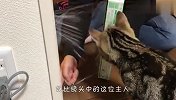 吃口猫粮咋这么难？喵星人都要被逼疯了，场面笑爆了