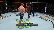 UFC on ESPN28期：乌利亚-霍尔VS肖恩-斯特里克兰