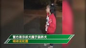 女童小区散步遭阿拉斯加扑倒咬伤脸 警方：属于禁养犬