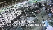 猛犬突然冲出围栏直奔男子扑咬，主人慌忙跑来徒手抓狗：还是晚了