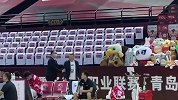 压不住火！深圳领队刘宏疆突然怒喷裁判 被吹两技犯遭驱逐出场