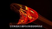 巨蟒的咬合力有多强？五个警察才能掰开其嘴巴，太瘆人
