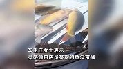 沈阳街头现车衣鱼缸！引擎盖上贴透明车衣养鱼惊呆市民，车主回应