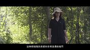 郑山：我能想到最浪漫的事，就是田野的风和身边的你