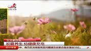 夏季养生：健康充电好方法