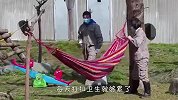 照顾熊猫有多不容易？奶妈直呼太难了，看完还想去应聘吗