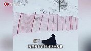 新疆阿勒泰一滑雪场狐狸闯入讨食，“有狐狸被撞后攻击游客”？雪场最新回应