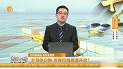 半导体企稳，反弹行情再度开启？