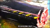 养殖蓝鳍金枪鱼整鱼完整分切