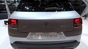 雪铁龙C4 Cactus2014日内瓦车展实拍