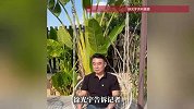 商演赠股竟是陷阱！《人民的名义》一男演员被负债，当事人发声