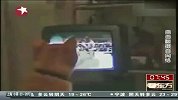 小猫看电视 出手练拳击