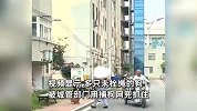 安徽亳州动真格！公共区域发现未拴绳犬只，城管直接捕捉带走