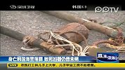 韩媒称韩海警或死于己方投掷的爆音弹碎片