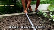 农村小伙自制浇水神器，不需要水泵和电，老丈人用后表示太方便了