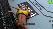 UFC252副赛：TJ-布朗VS丹尼尔-查韦斯