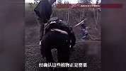 “果子很圆没有毛，割一下会流白浆”，湖北3名小学生发现罂粟后果断报警