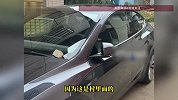 特斯拉新车遭老人划伤被全程记录，车主：维修费8300元，已报警