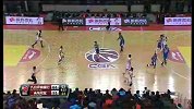 CBA-1314赛季-常规赛-第16轮-吉林东北虎123：103青岛双星-全场