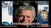 英国男子头发杂乱 小鸟误当是鸟窝