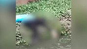 广州荔湾区现一具男性浮尸 警方初步排除他杀