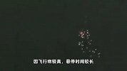哈尔滨夜空现不明发光飞行物，亮点密集呈长条状！天文馆回应
