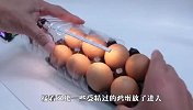 网友用矿泉水瓶做孵化器，竟孵出一窝小鸡，厉害了！