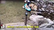 《爆笑60秒》丨主人带8只柯基划船 场面可爱到犯规
