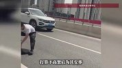 重伤猫咪躺在高架上，男子避开车流用外套包裹将其救下：自己是一名宠物医生