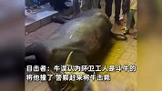 疯牛当街狂奔撞飞老人冲击店铺追赶路人，警方：牛已击毙，牛主人赔偿