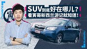 SUV到底好在哪？看寅哥新西兰游记就知道