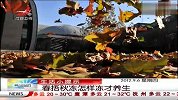 生活-春捂秋冻怎样冻才养生