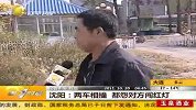 两车街头相撞 双方司机都怨对方闯红灯