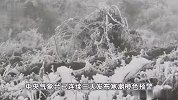 全国多地进入“速冻”模式，波及30余省区市，局地最大降温20℃