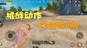 烧麦七哥：体验服竟然还有挑衅动作？这种动作你会做吗？