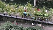 重庆土豪坐直升飞机空中撒3000万？假的！