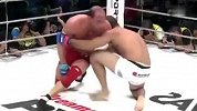 UFC-15年-八角笼擂台上十五大葬送格斗生涯的严重受伤-专题
