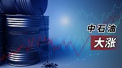 中石油大涨