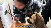 小孩：你要好好学习，做一只有用的狗