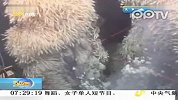 “失落的海底世界”惊现奇异生物