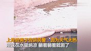【浙江】打盹的最高境界：男子漂在河中被误以为是浮尸
