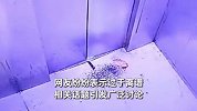 大妈疑在电梯内杀鸡，遗留刀具将电梯直接干报废，物业：赔钱了