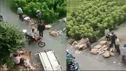 江苏东台警方通报车祸后猪肉遭哄抢：5人被行拘