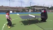 熊本熊新花样打乒乓 用头当球拍的竞技运动我一直不在怕