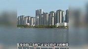 厦门筼筜湖惊现大量“奇特生物”？成群结队出现！专家解答