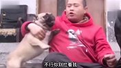 鱼：年轻猫不讲武德，潜水抓鱼的猫我还第一次见